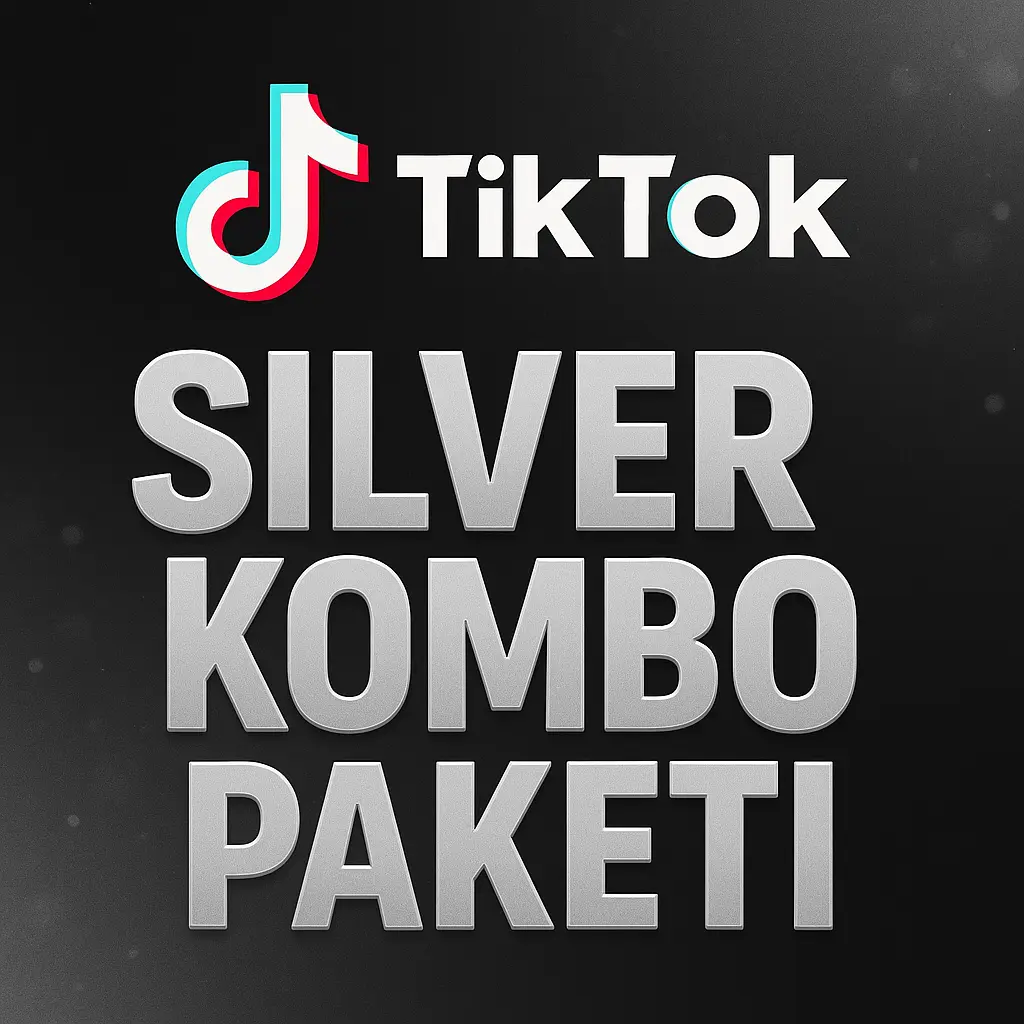 TikTok Silver Kombo Paket